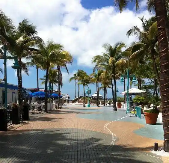 lawn care in fort myers beach
